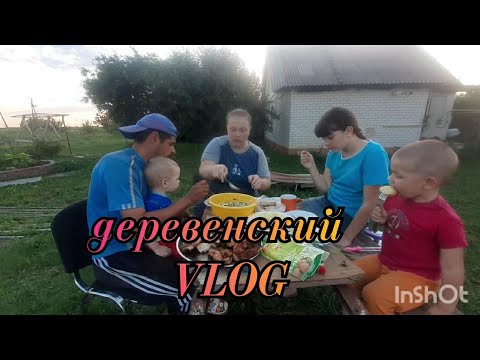 Видео: VIOG💥даёшь шашлык каждый день👍🔥🍽. многодетная семья в деревне