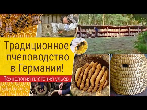 Видео: Традиционное пчеловодство в Германии!