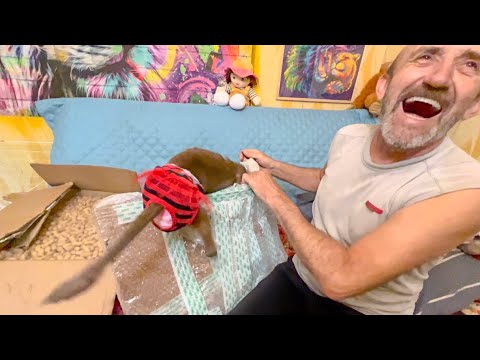 Видео: Смотрим и поднимаем себе настроение! Смотреть на Люську без СМЕХА не возможно!