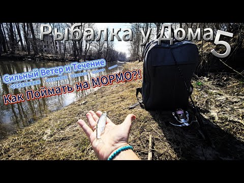 Видео: Рыбалка у Дома 5 | Сильный Ветер и Течение | Как поймать на МОРМО?!