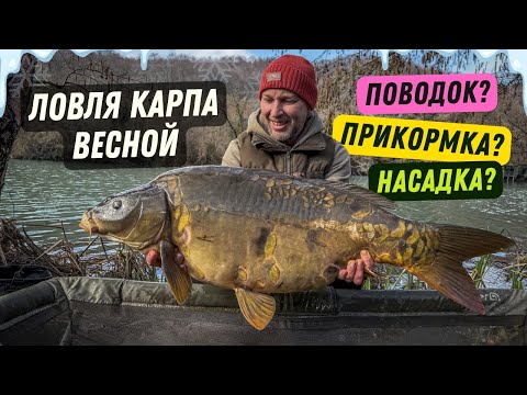 Видео: КАК ЛОВИТЬ КАРПА ВЕСНОЙ? Советы по прикормке и насадке для холодной воды! Рыбалка Барановское!