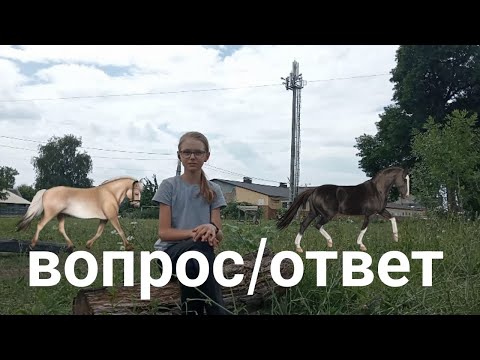 Видео: ВОПРОС/ОТВЕТ        #вопросответ #вопросы #лошади #лошадь #конники #horse #конныйспорт #horses