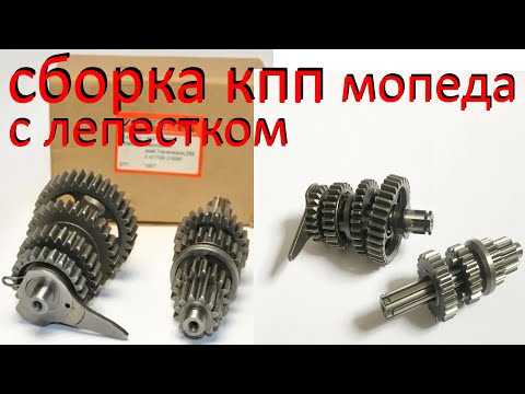 Видео: Как собрать коробку передач мопеда альфа дельта с лепестком