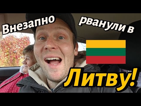 Видео: ✅✅✅Латвийские чесночные фермеры посетили Литовский муниципальный бассейн #чеснок #влог #конь #котики