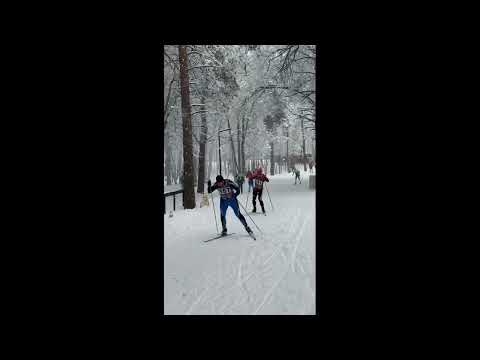 Видео: Новогодняя гонка, Волкуша, 31.12.2024