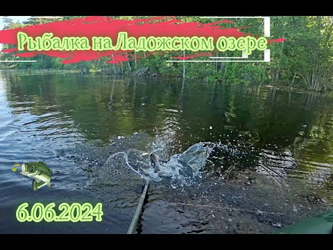Видео: Рыбалка в Ладожских шхерах
