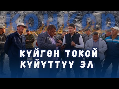 Видео: Күлгө айланган ТОКОЙ ///  КҮЙҮТТҮҮ ЭЛ /// Сокол Медиа /// Темирлан Сейитбек уулу