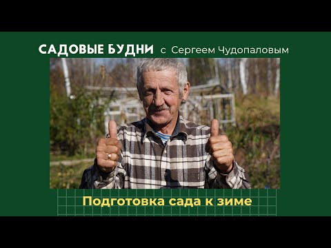 Видео: Укрываем деревья. Готовим сад к зиме.