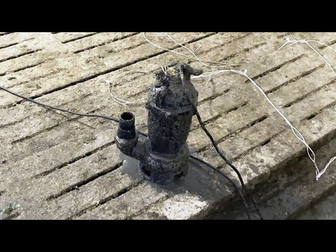 Видео: ЭТОТ МАЛЫШ ТВОРИТ ЧУДЕСА. Откачиваем свиной навоз