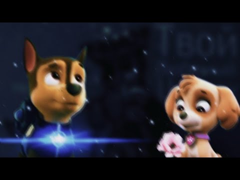 Видео: 💮Скай и Гонщик💮(Незабудка)~Для канала омронка маленькая волчица~💮Skye x Chase💮