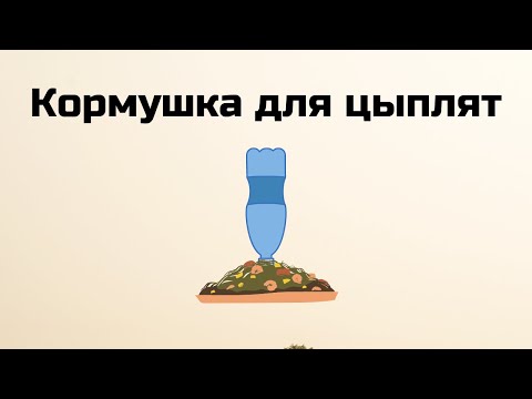 Видео: Самая экономная кормушка для цыплят и кур