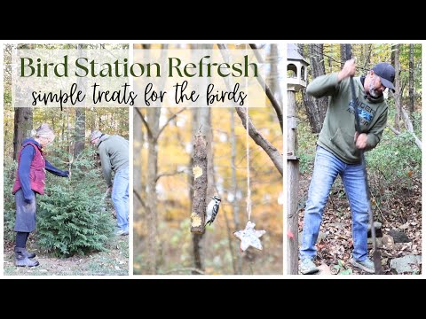 Видео: Преображение птичьей станции ~ Уборка на улице ~ Осенние работы на улице ~ Лакомства для птиц