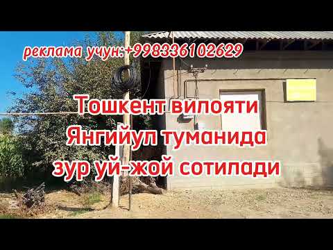 Видео: Тошкент вилояти Янгийул туманида уй сотилади. Уй егаси ☎️+998930877471