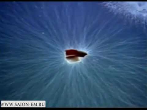 Видео: Внутренняя жизнь почвы - научно популярный фильм