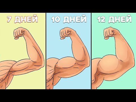 Видео: Сколько должны Отдыхать мышцы чтобы Расти
