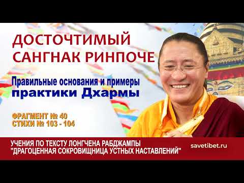 Видео: Сангнак Ринпоче. Правильные основания и примеры практики Дхармы