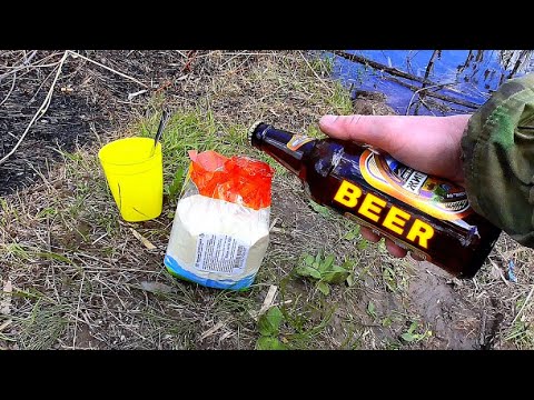 Видео: Реакция Рыбы на Светлое ПИВО! Прикормка для карася. Подводная съемка