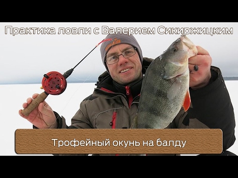 Видео: Трофейный окунь на балду : Практика ловли с Валерием Сикиржицким