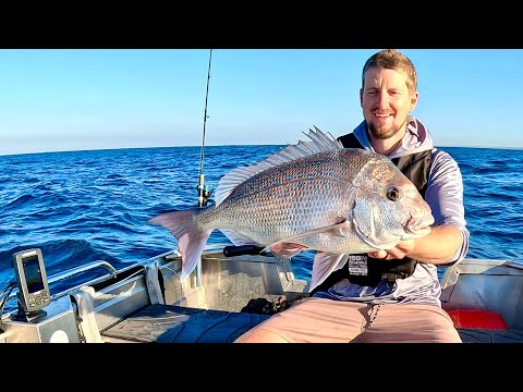Видео: Ловля люциана в Перте из моей жестяной банки