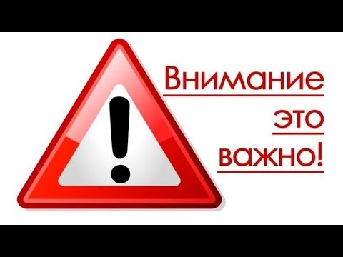 Видео: МУД БАРБОСКИНЫ #16