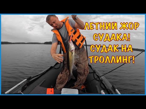 Видео: Жор судака!Ловля на троллинг в июне! Отдых с палатками на Вуоксе! Эхолот GARMIN striker plus 4cv