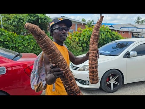 Видео: Витринный шопинг в Джорджтауне