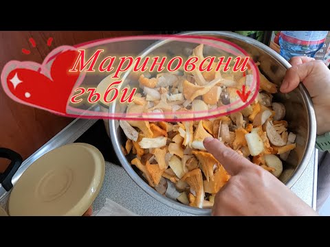 Видео: Мариновани гъби