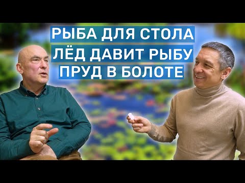 Видео: Разговор с Ихтиологом: Выращивание рыб в пруду, Артезианская вода для рыб и другие вопросы