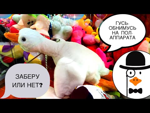 Видео: ОГРОМНЫЙ ГУСЬ-ОБНИМУСЬ В АППАРАТЕ ИГРУШЕК 🦢 ВОЗМОЖНО ДОСТАТЬ? ИГРАЮ В 2-х АППАРАТАХ