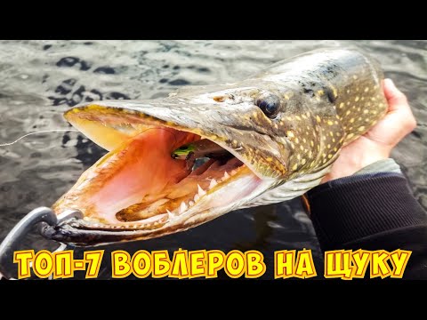 Видео: ТОП-7 лучших воблеров на щуку. Мои лучшие воблеры для ловли щуки в траве