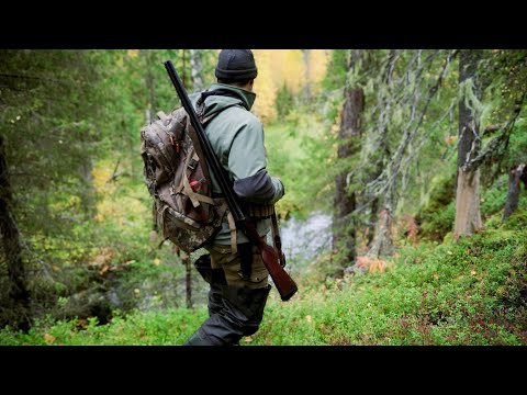 Видео: Один в тайге с ружьём | Охота на рябчика и отдых у костра
