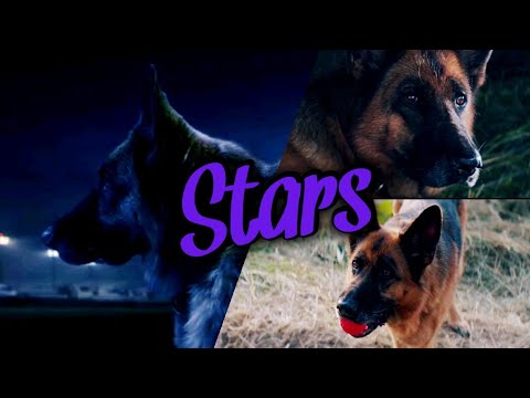 Видео: Пальма: Клип "Stars" заказ