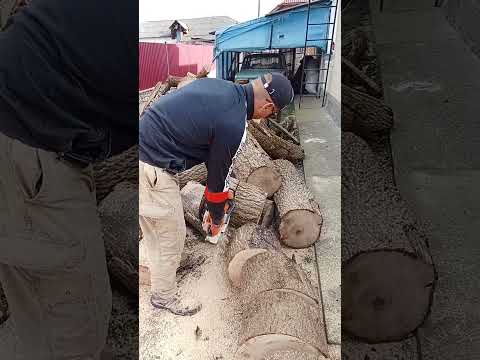 Видео: STIHL 260. Порізка дров.