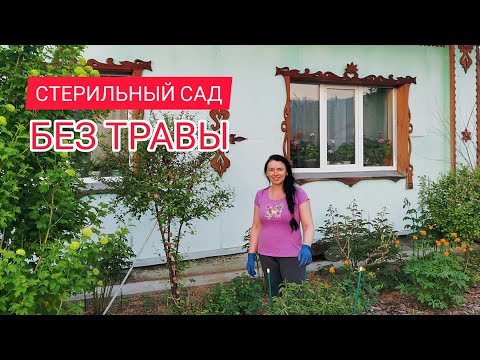 Видео: ФАНТАСТИЧЕСКИЙ САД и ОГОРОД В гостях у Людмилы Александровны КАК ЖИВЕТ ДЕРЕВНЯ В СИБИРИ