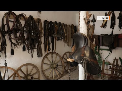 Видео: Семейный дом в Малаештах превратился в Музей коневодства