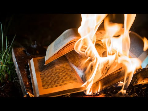 Видео: Сила действия Слова || Sola Scriptura №532