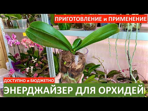 Видео: ЛУЧШИЙ СТИМУЛЯТОР роста корней орхидеи и для орхидей ПОДРОБНОЕ ВИДЕО