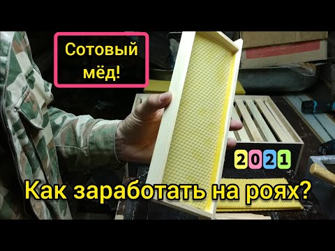 Видео: Альпийские рамки в ловушки роям.