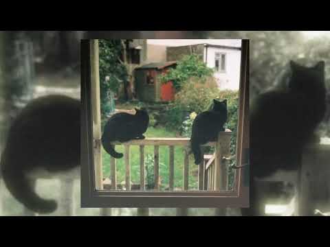 Видео: гоблин с сигарой - если все кошки в мире исчезнут (Prod. QUITAll x Velvet.wave)