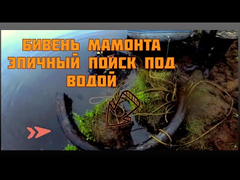 Видео: 4-й день в тундре. Пробные погружения.