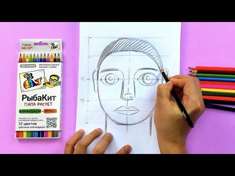 Видео: Голова человека - рисуем пропроции