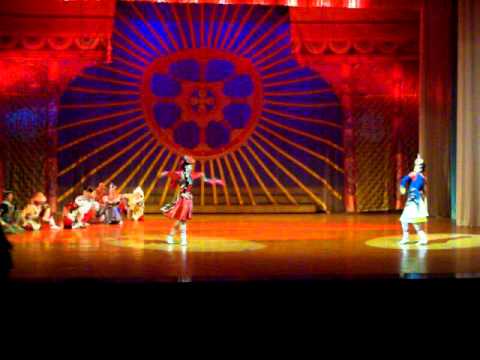 Видео: Сугсраан донж