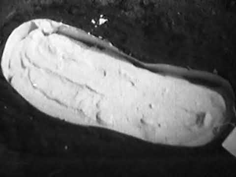 Видео: Криминалистическое исследование.  Следы ног