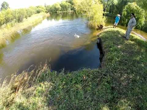 Видео: Эг-Тарвагатай, Эг- Тавтын бэлчир, Тэшиг сумаар аялав