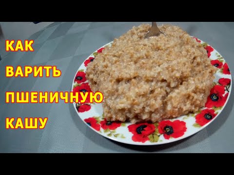 Видео: Как варить пшеничную кашу Пшеничная каша на воде