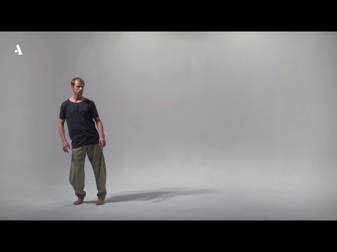 Видео: 9 языков современного танца. Охад Нахарин