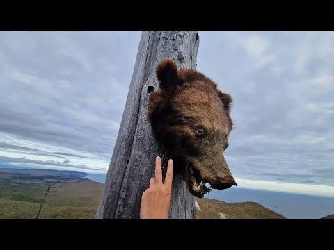 Видео: #Аукан_Нерпичий_Сюркум_на_Машине