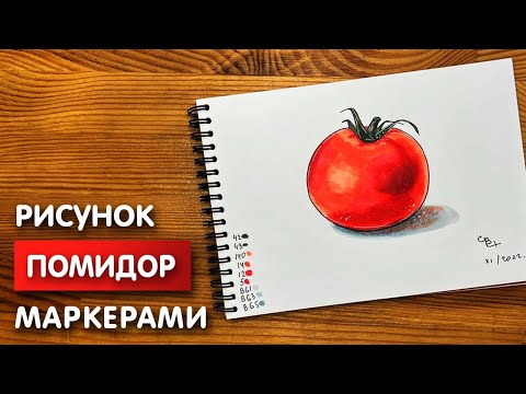 Видео: Как нарисовать помидор карандашом и скетч маркерами | Рисунок для детей, поэтапно и легко