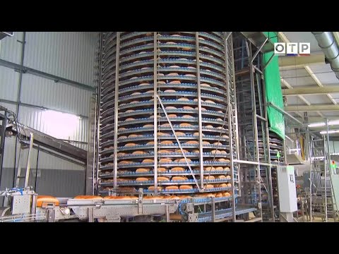 Видео: Кондитерам, пекарям и не только: инновации в производстве