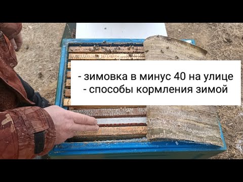 Видео: Чем и Как Кормить Пчёл Зимой. Зимовка Пчёл на Улице в ульях ППУ Медведь